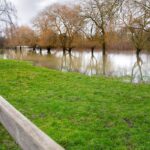 How to Reduce Flooding with Your Garden