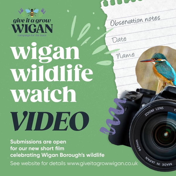 Wigan Wildlife Watch - Video