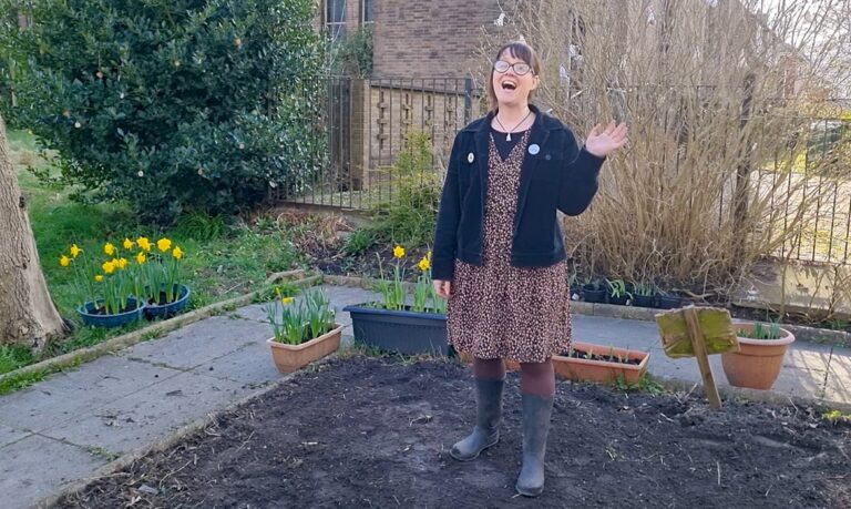 Seedling Video - How to Grow a Mini Wildflower Meadow at Home