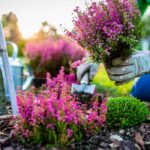 7 Native Flowers for your Garden