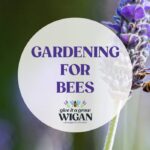 Gardening for Bees