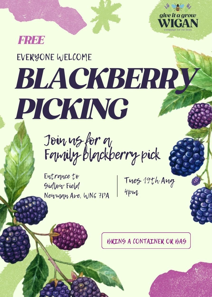 Blackberry Picking