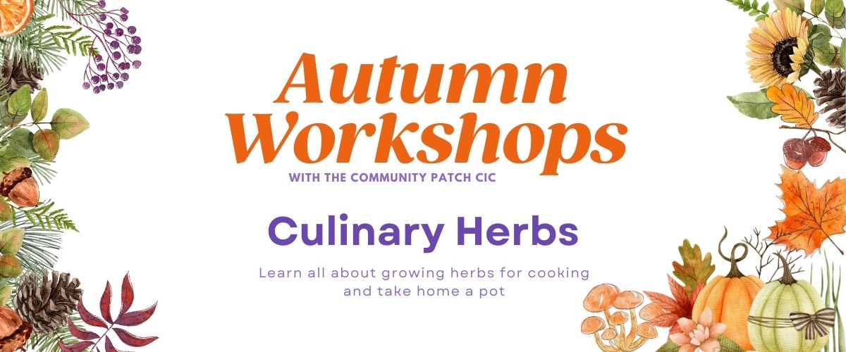 Culinary Herbs