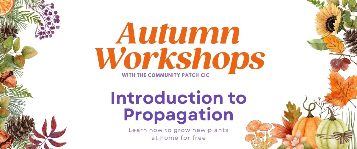 Introduction to Propagation