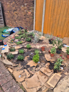 SWAP_Community_Garden_Design18