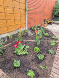 SWAP_Community_Garden_Design33