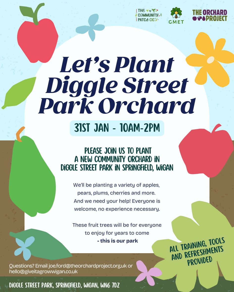 Diggle Street Planting