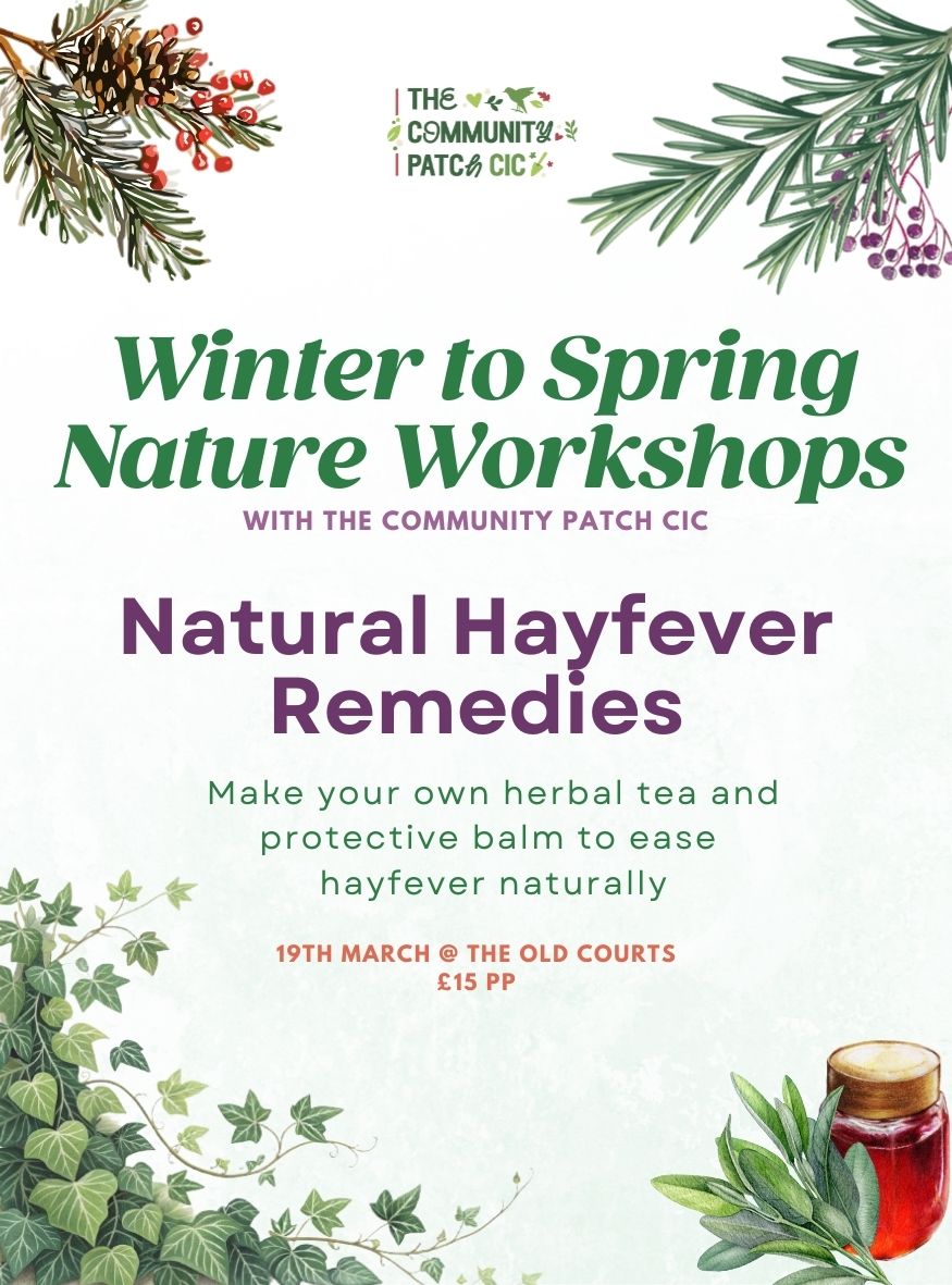 Natural Hayfever Remedies - Insta