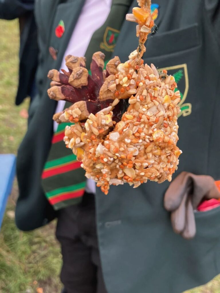 School Group -Pine Cones