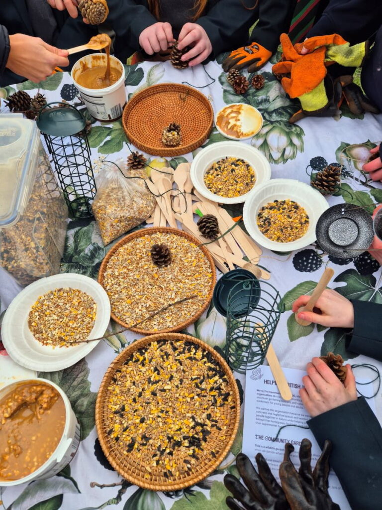 School Group -Pine Cones