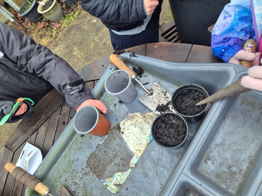 Primary School Group - Planting Seeds