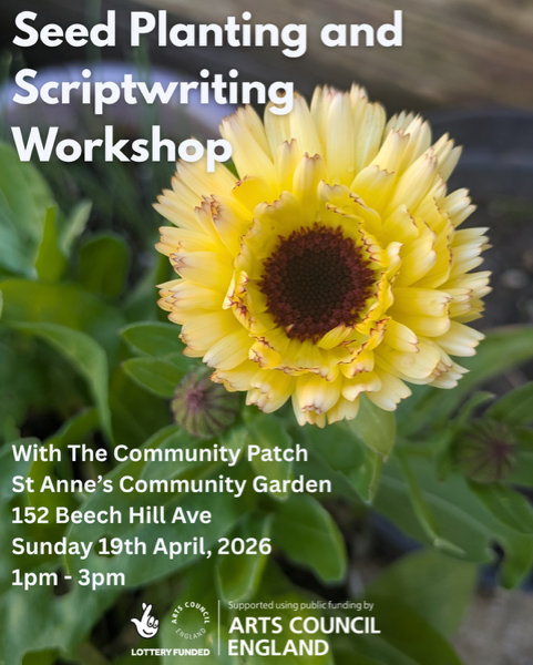 writing workshop