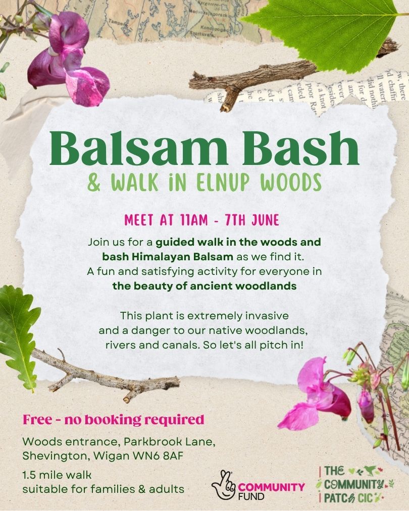Balsam Bash June