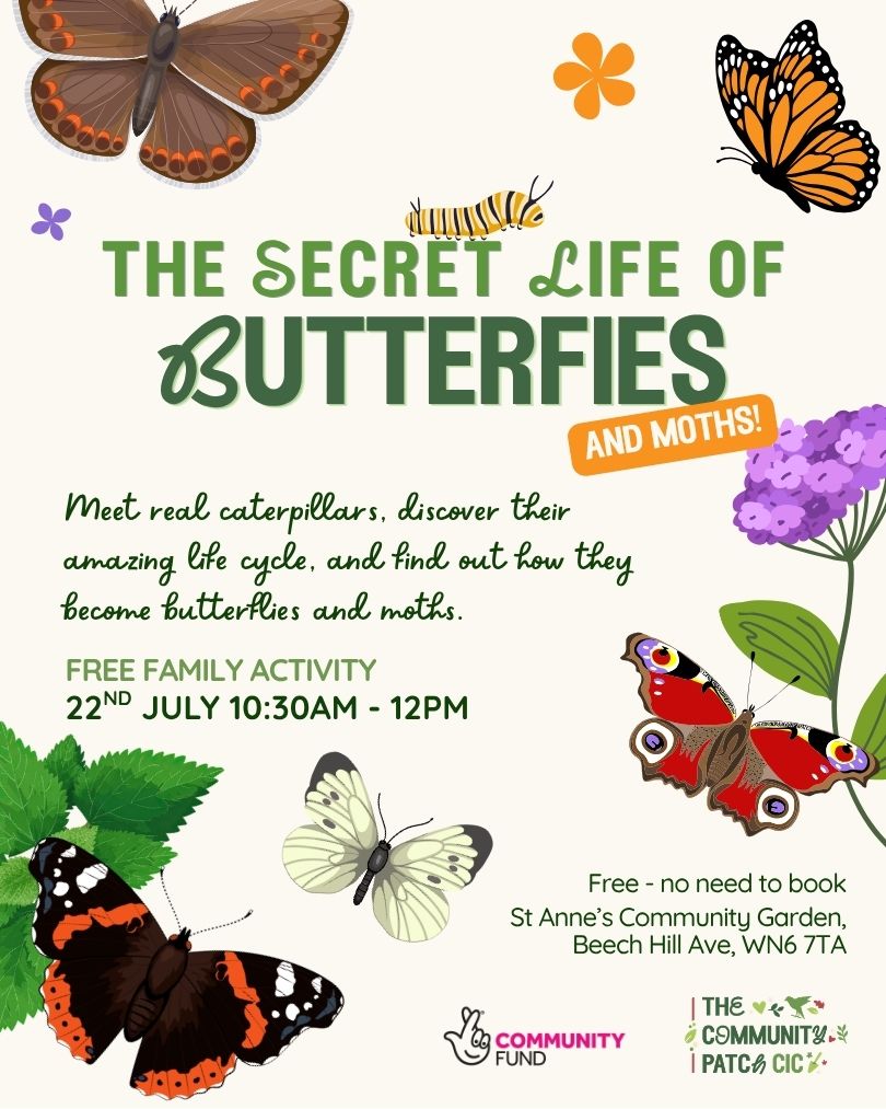 Secret Life of Butterflies