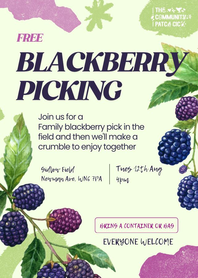 Blackberry Picking