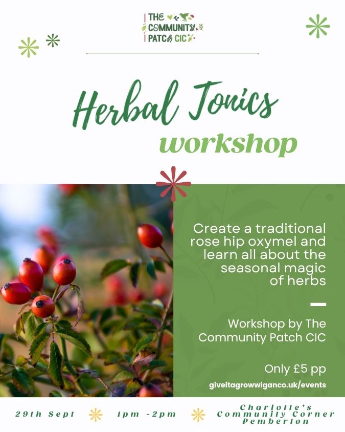 Herbal tonics workshop